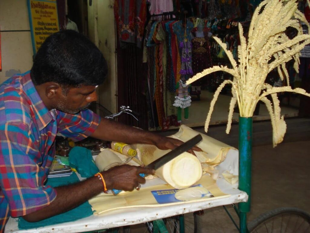Coconut Stem Madurai
