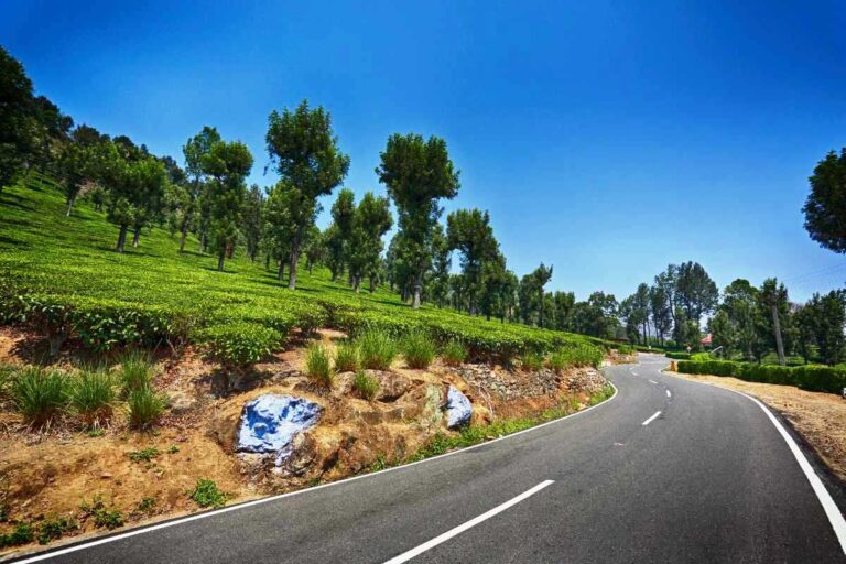 Coorg - Weekend Gateway from Mysore