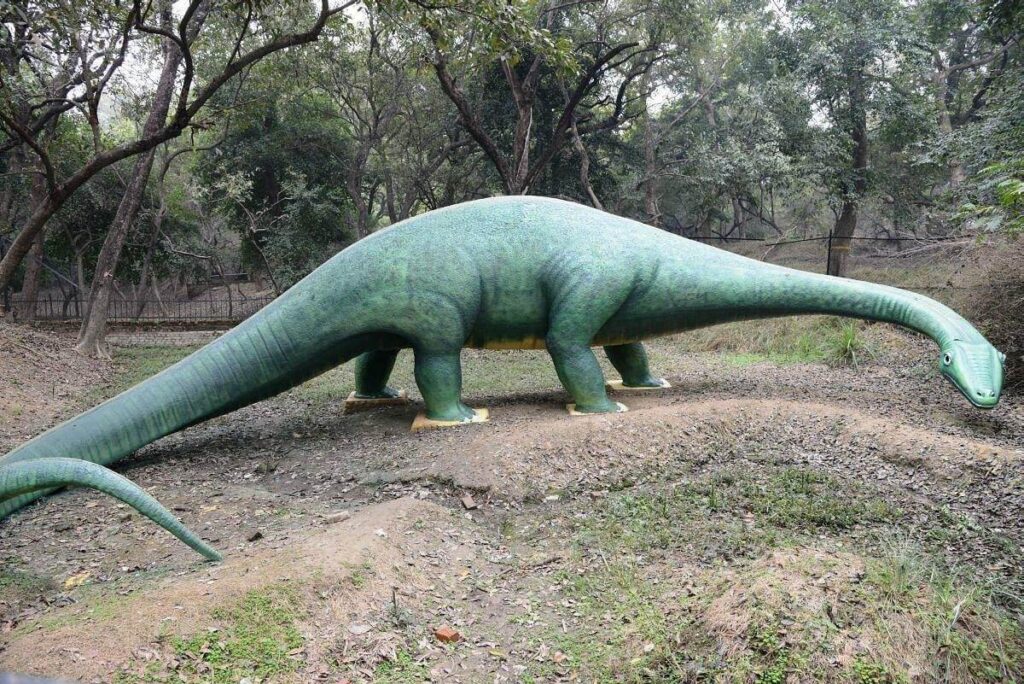 Kanpur Gardens Allen Forest Zoo