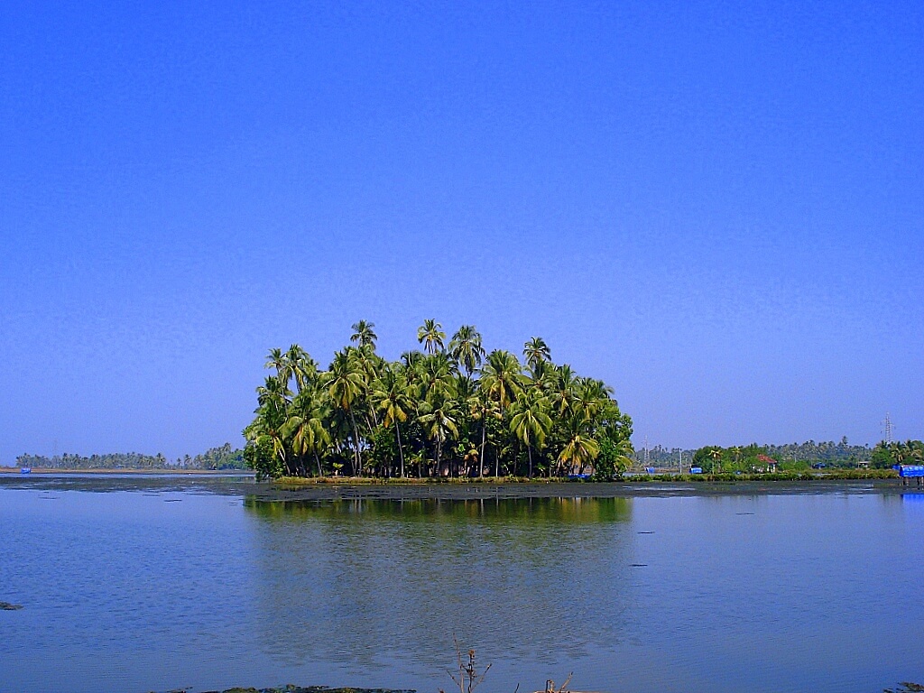 Kumbalangi Village Kerala
