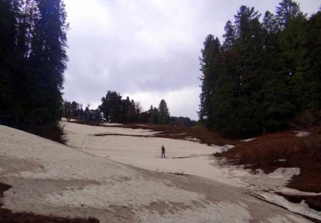 Kuppar Bughyal Trek Himachal