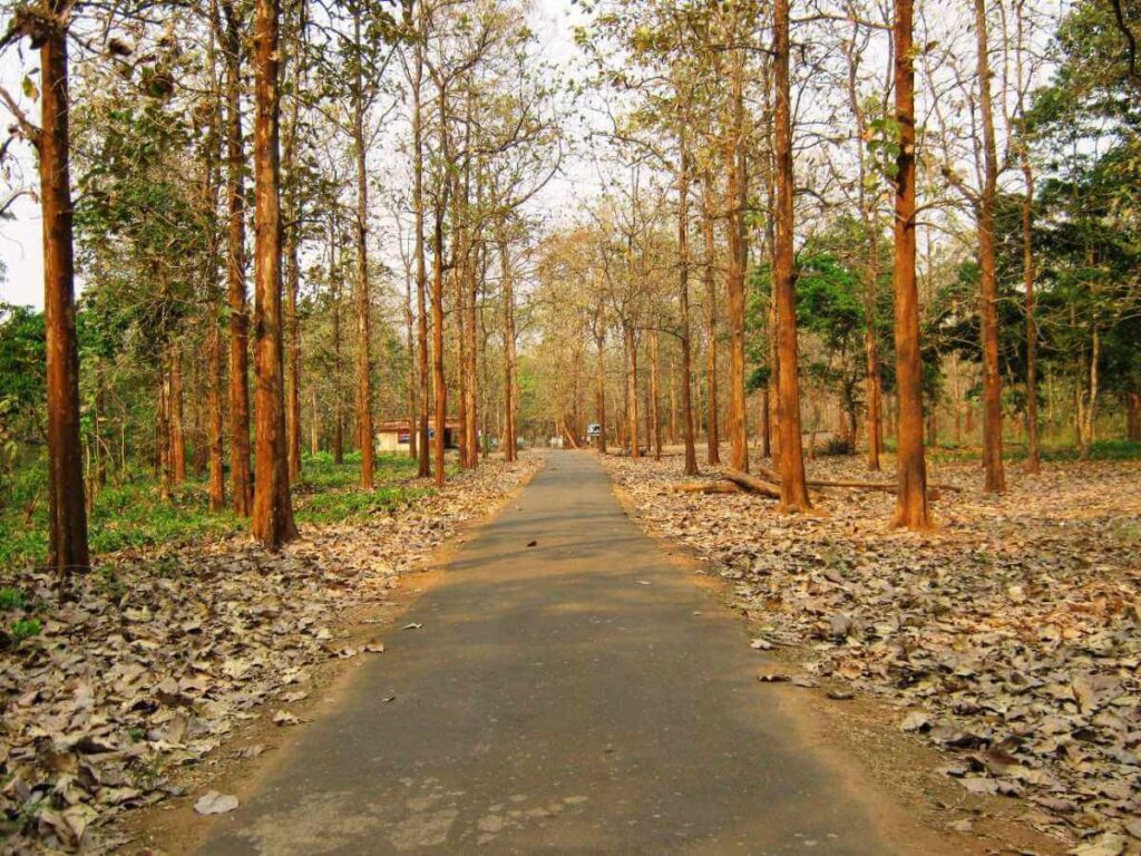 Nilambur Village Kerala