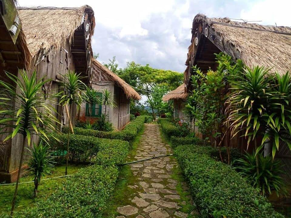 Touphema Village Nagaland