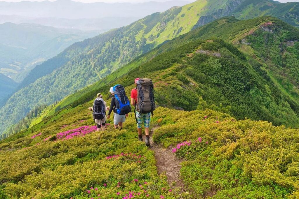 Trekking Places in Kerala