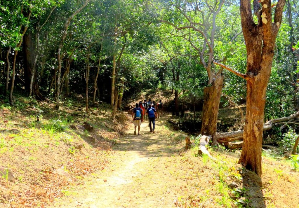Trekking in Agasthyakoodam in Neyyar Wildlife Sanctuary