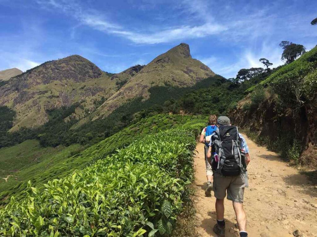 Trekking in Kolukkumalai Kerala