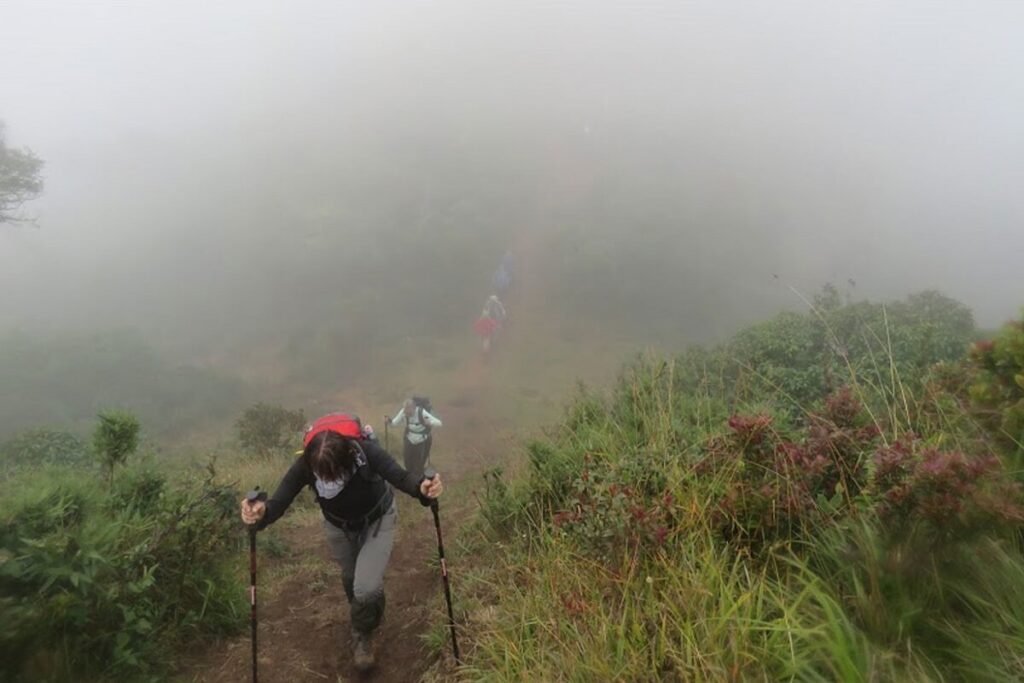 Trekking in Meesapulimala Kerala