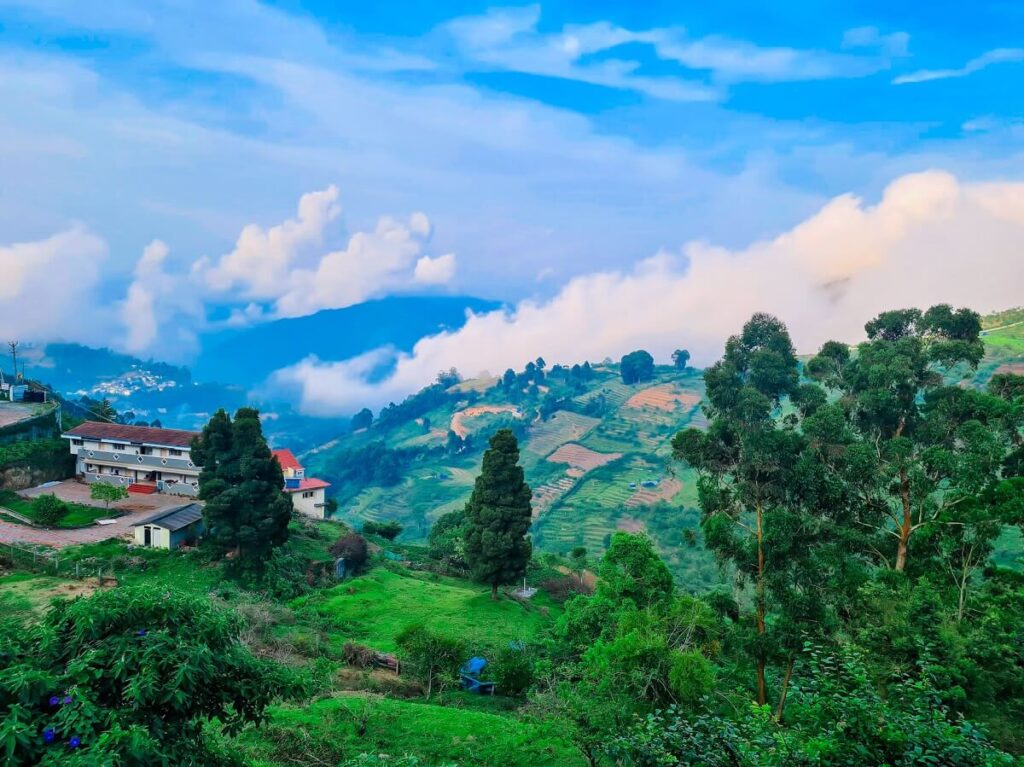 Vellagavi Forest Trek Tamil Nadu