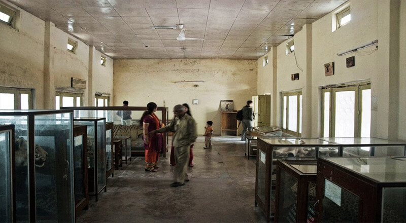 Dhangarhi Museum Corbett Uttarakhand