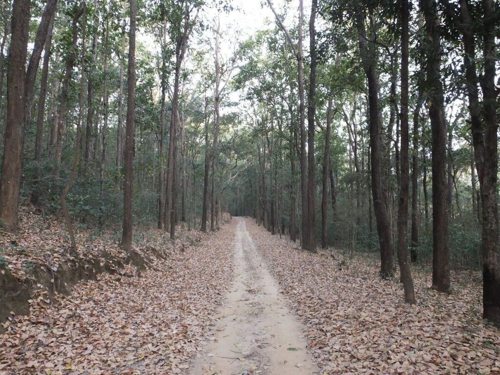 Durga Devi Zone Corbett Uttarakhand