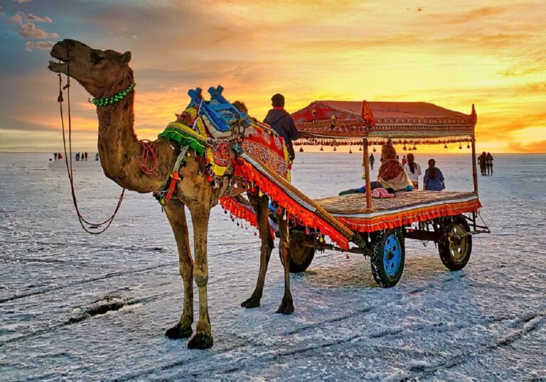 Gujarat in February Top 10 Must-Visit Destinations