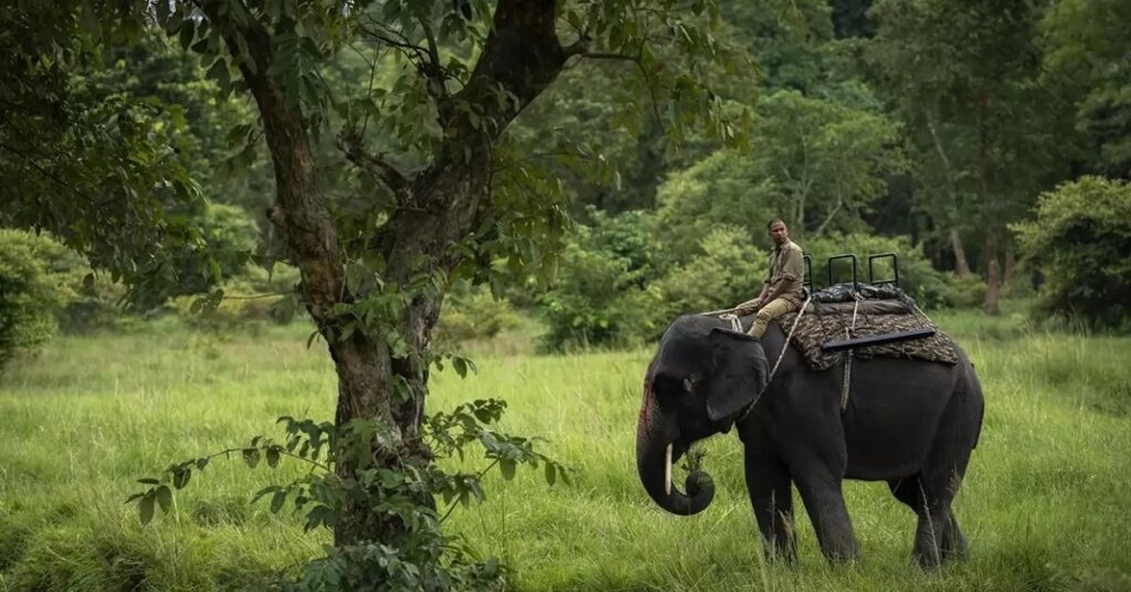 Kaimur Wildlife Sanctuary Rohtas Bihar