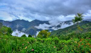 Kotagiri Getaways from Coimbatore