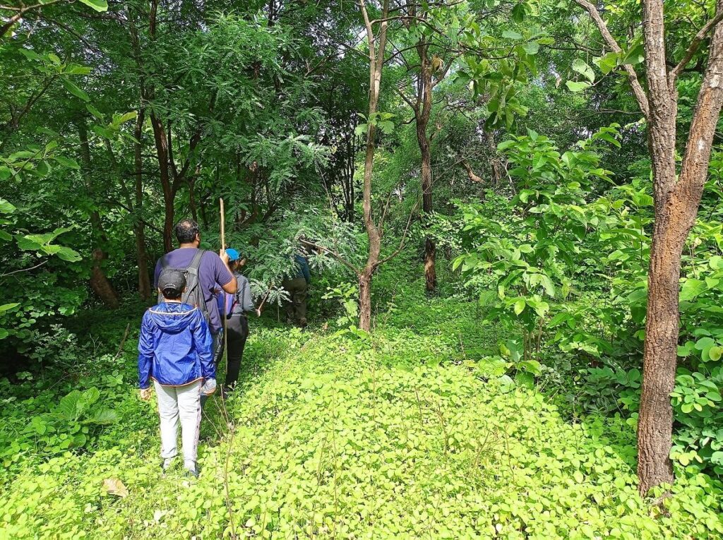 Narsapur Forest Telangana