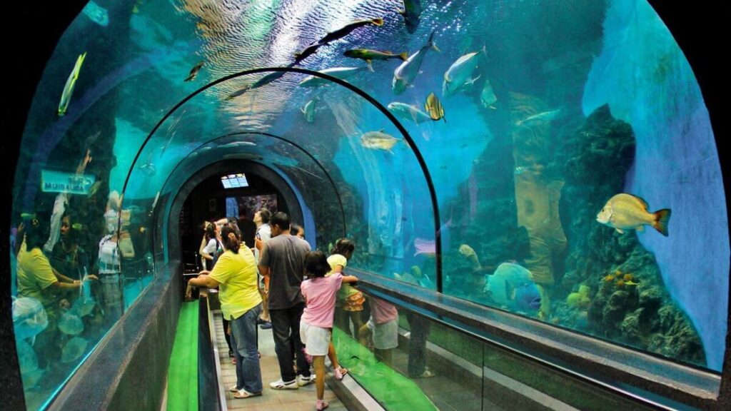 Phuket Aquarium Thailand