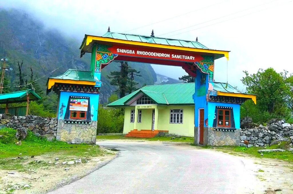 Shingba Rhododendron Sanctuary Lachung Sikkim