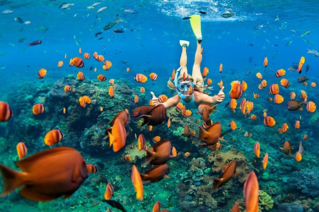 Snorkelling and Diving Mauritius