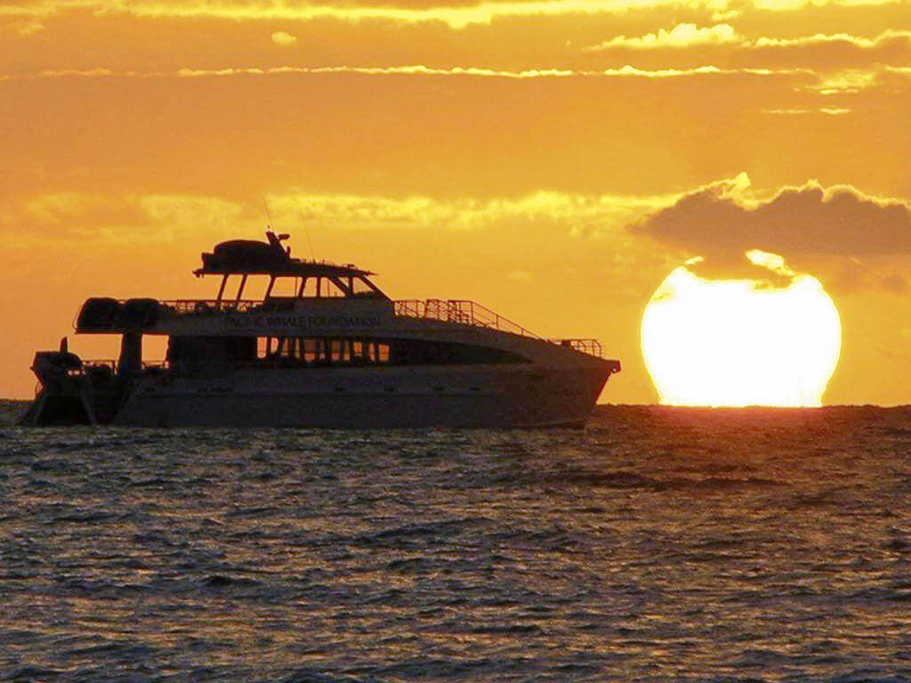 Sunset Cruise on the Arabian Sea Cochin