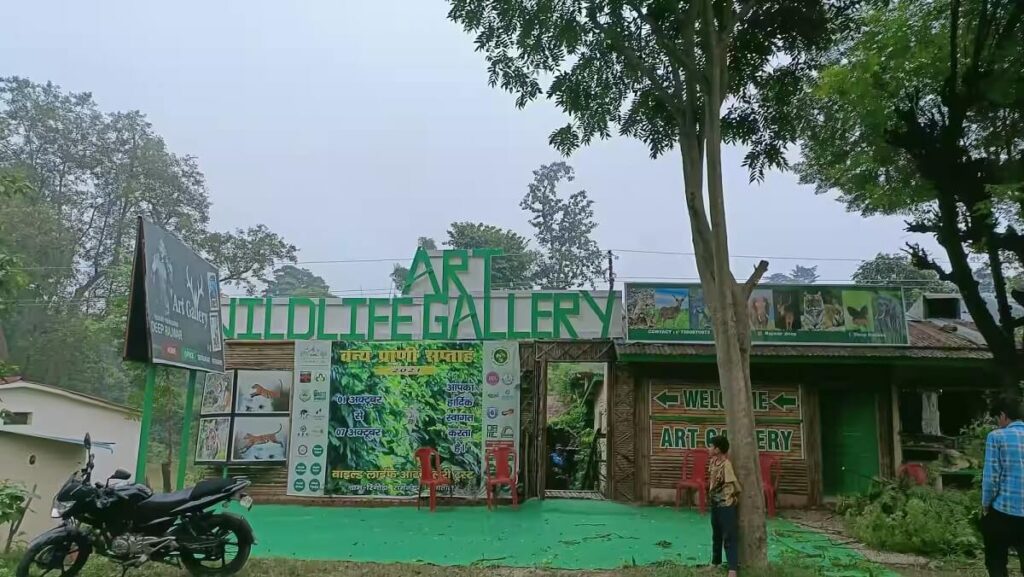 Wildlife Art Gallery Corbett Uttarakhand
