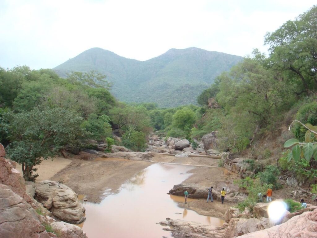 Amirthi Zoological Park Vellore Tamil Nadu