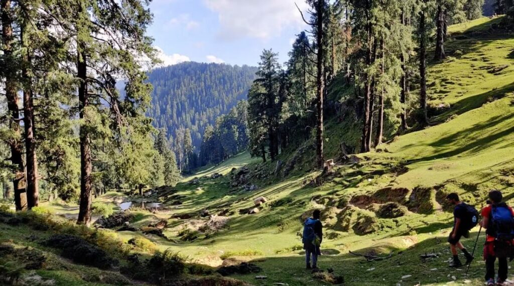 Deoban Chakrata Uttarakhand
