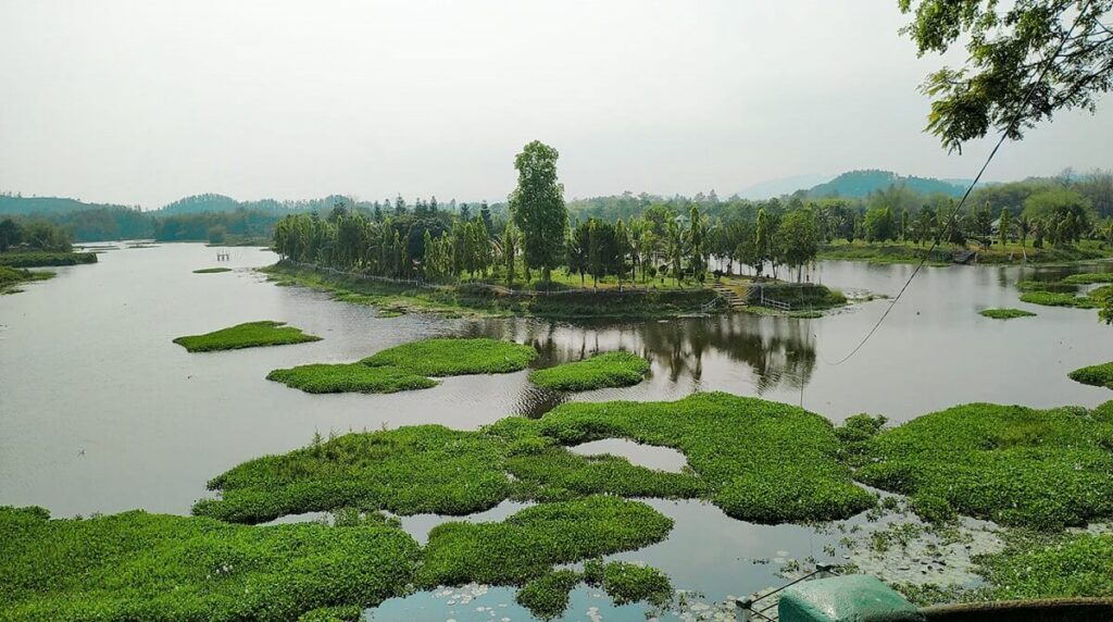Koya Kujia Eco Park Bongaigaon Assam