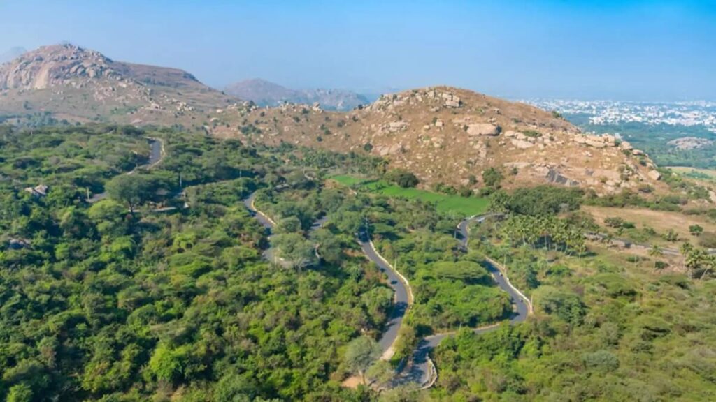 Palamathi Hills Vellore Tamil Nadu