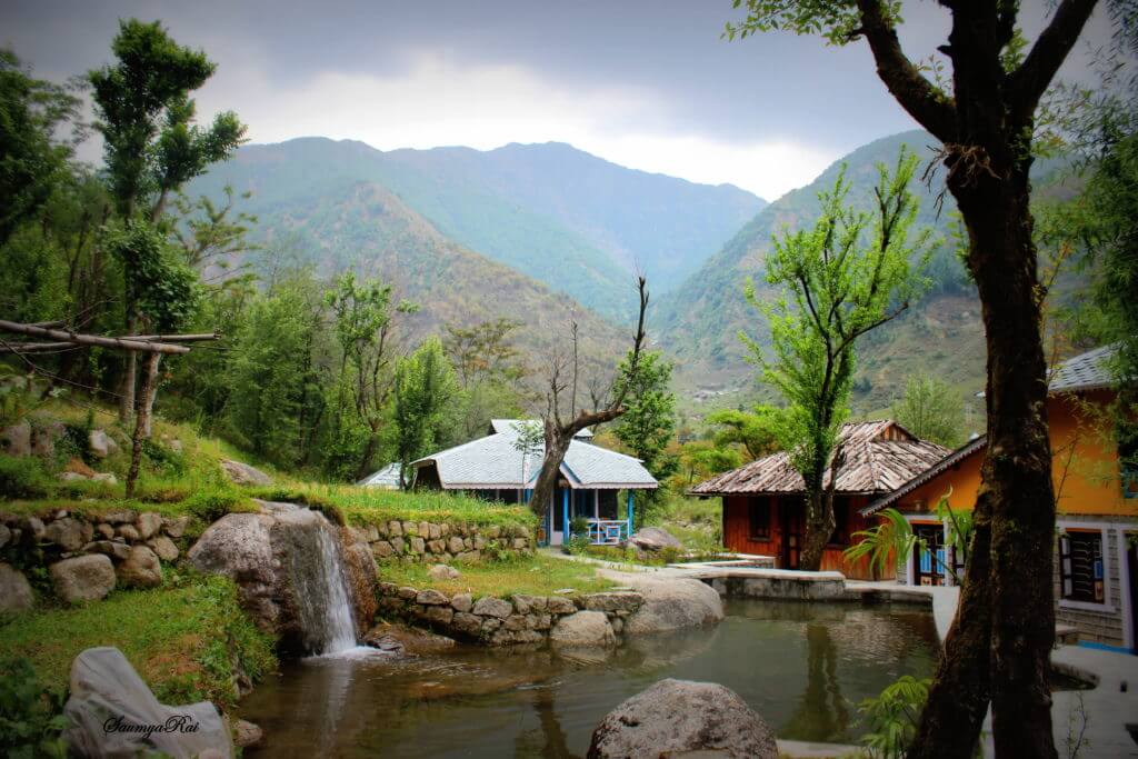 Palampur Village Himachal