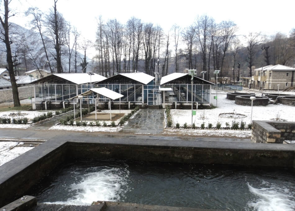 Trout Farm Sangla HImachal