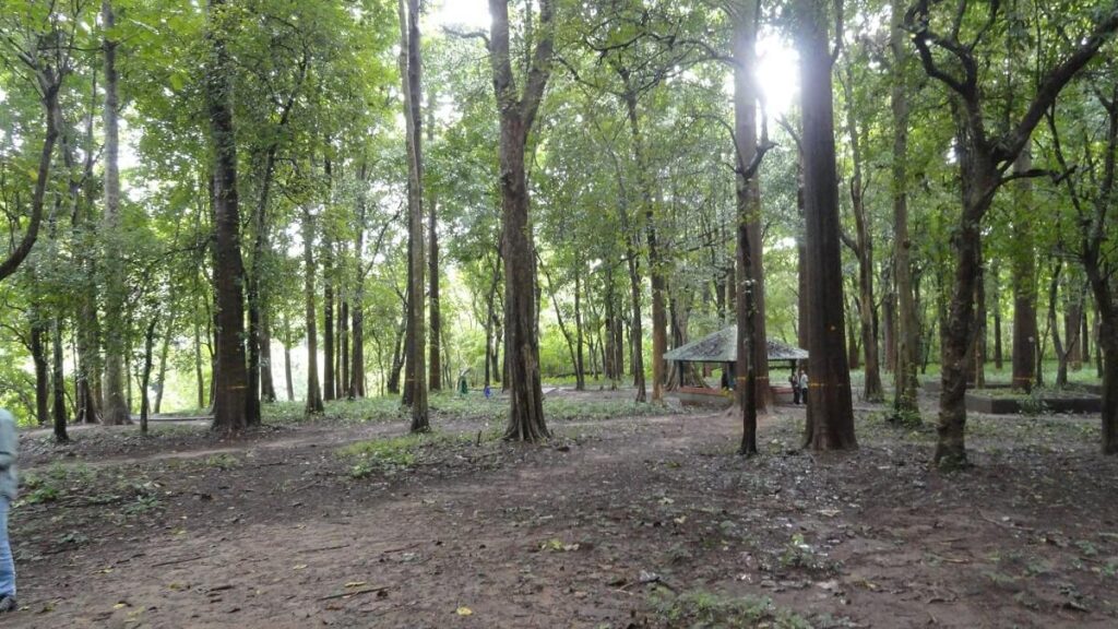 Canoli's Plot Nilambur