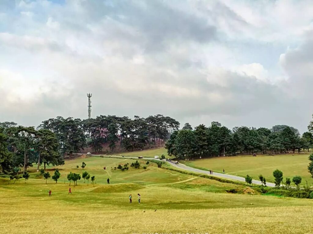 Golfing at Shillong Golf Course