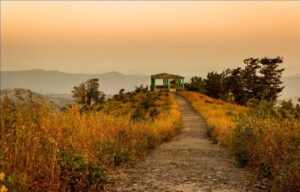Top 10 Hill Stations in and Around Gujarat: A Traveler’s Guide to Serenity