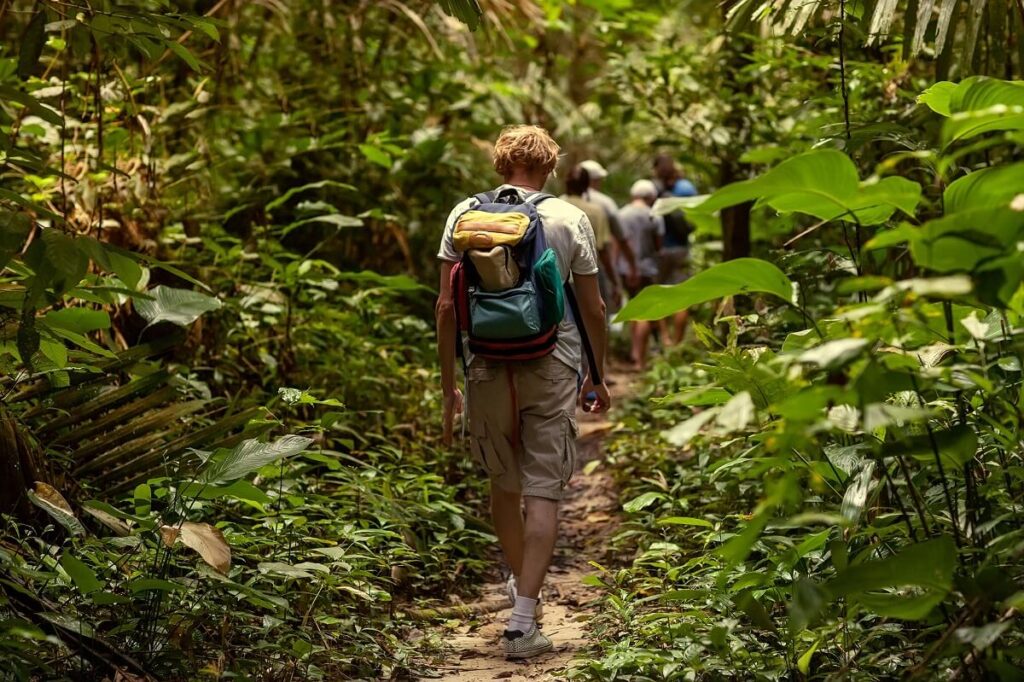 Jungle Trekking in Chiang Mai Thailand