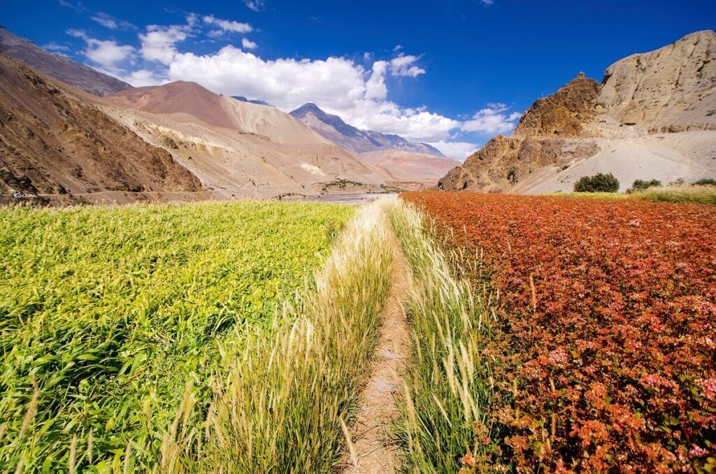 Kagbeni Mustang Nepal