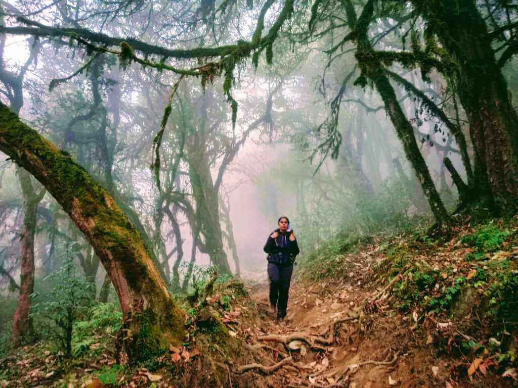 Singalila National Park