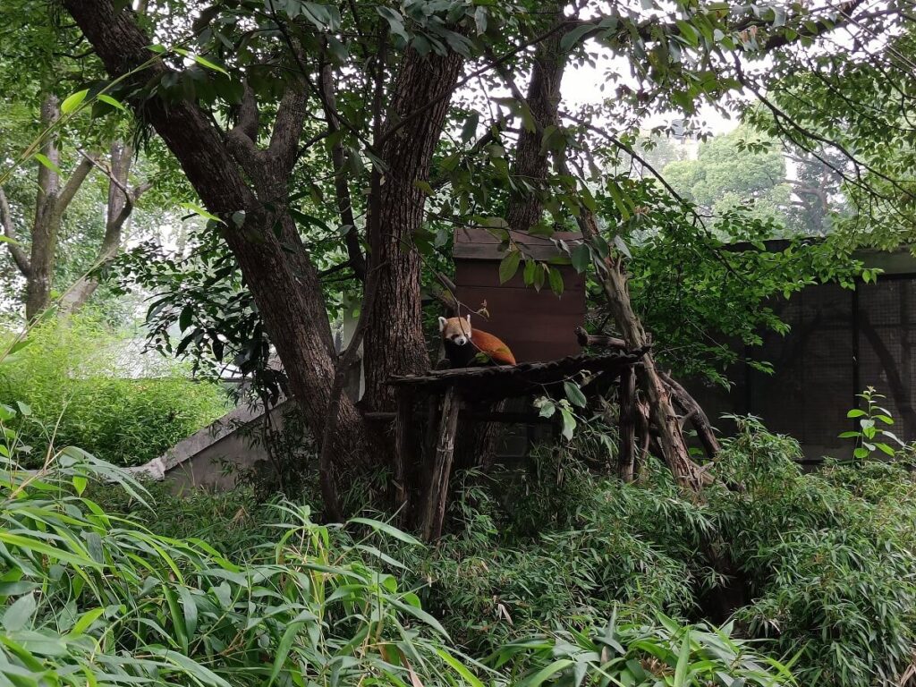 The Central Zoo Patan Nepal