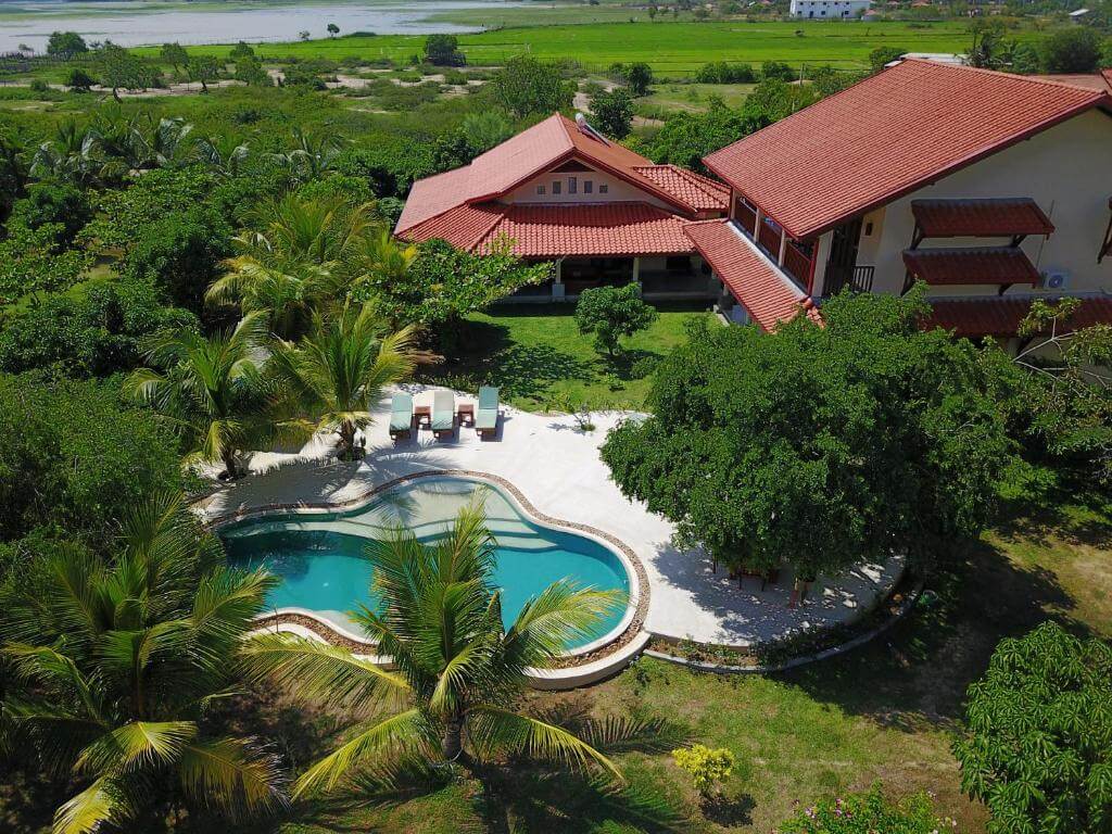 Wild Lotus Yala Sri Lanka