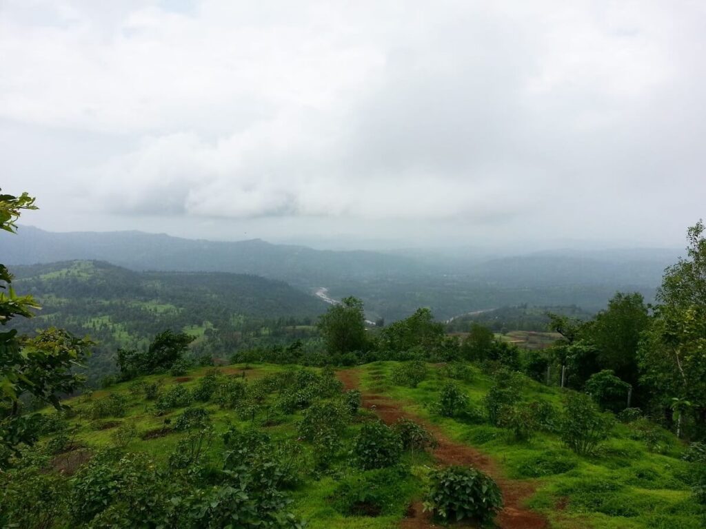 Wilson Hills Gujarat