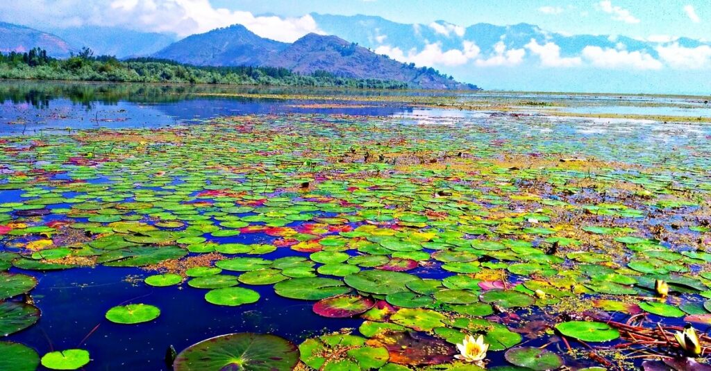 Wular Lake Kashmir