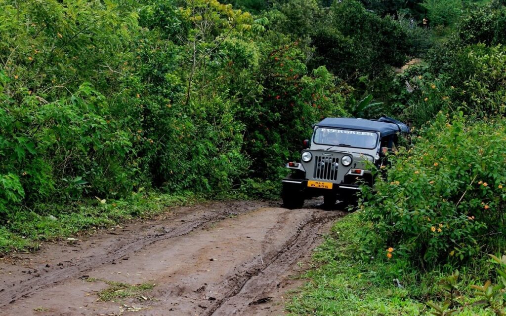 Jeep Safari to Gavi Thekkady