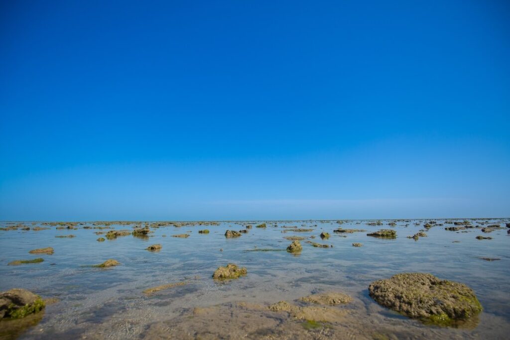 Marine National Park Jamnagar Gujarat
