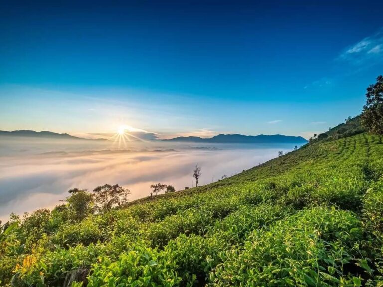 Places to Visit in Jorhat, Assam