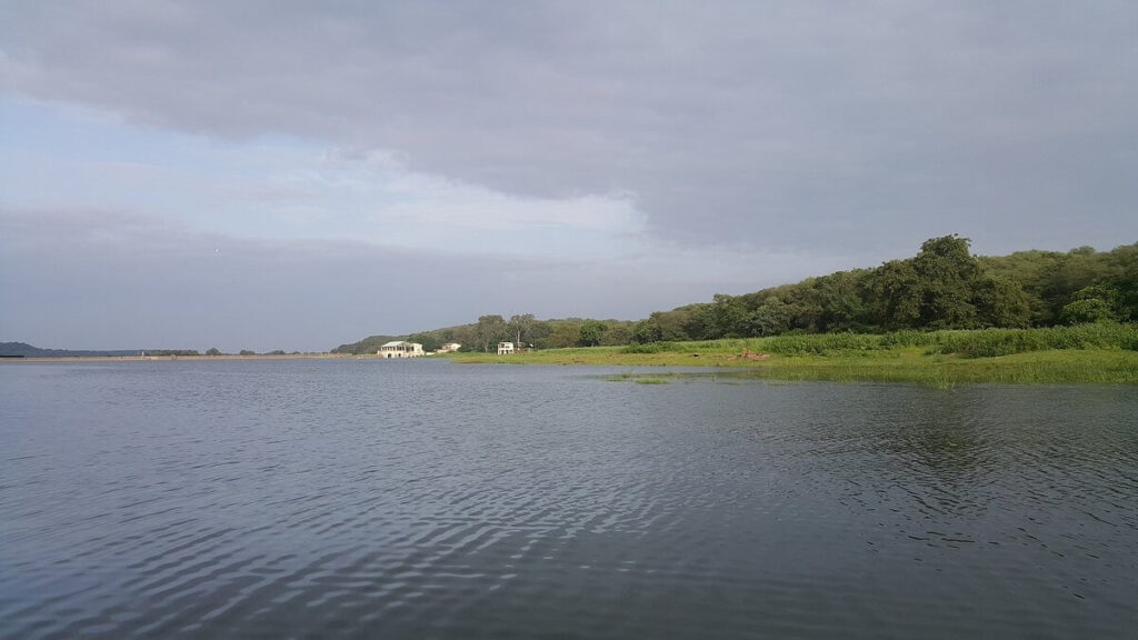 Sakhya Sagar Lake Shivpuri Madhya Pradesh