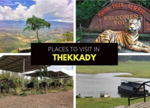 2 Days in Thekkady – What to See in Thekkady in 2 Days?