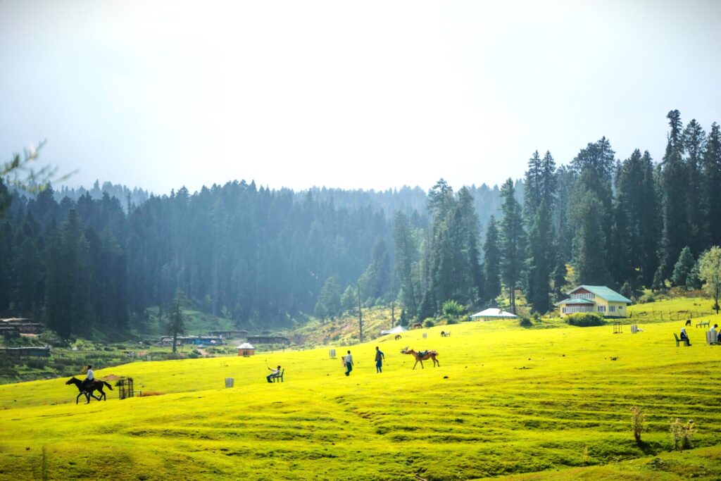 Yusmarg Comprehensive Travel Guide to Kashmir's Serene Paradise