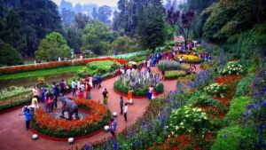 Ooty Flower Show 2024 Festival Details