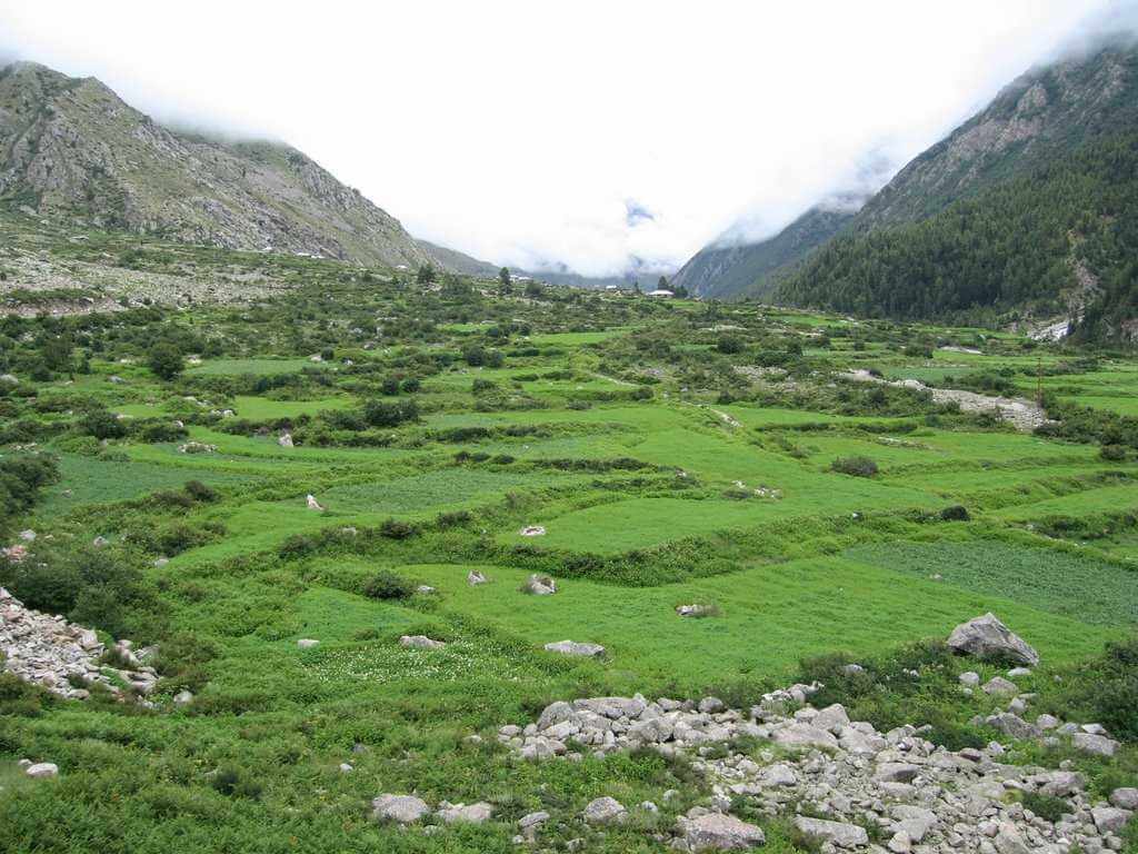 Sangla Meadows Himachal