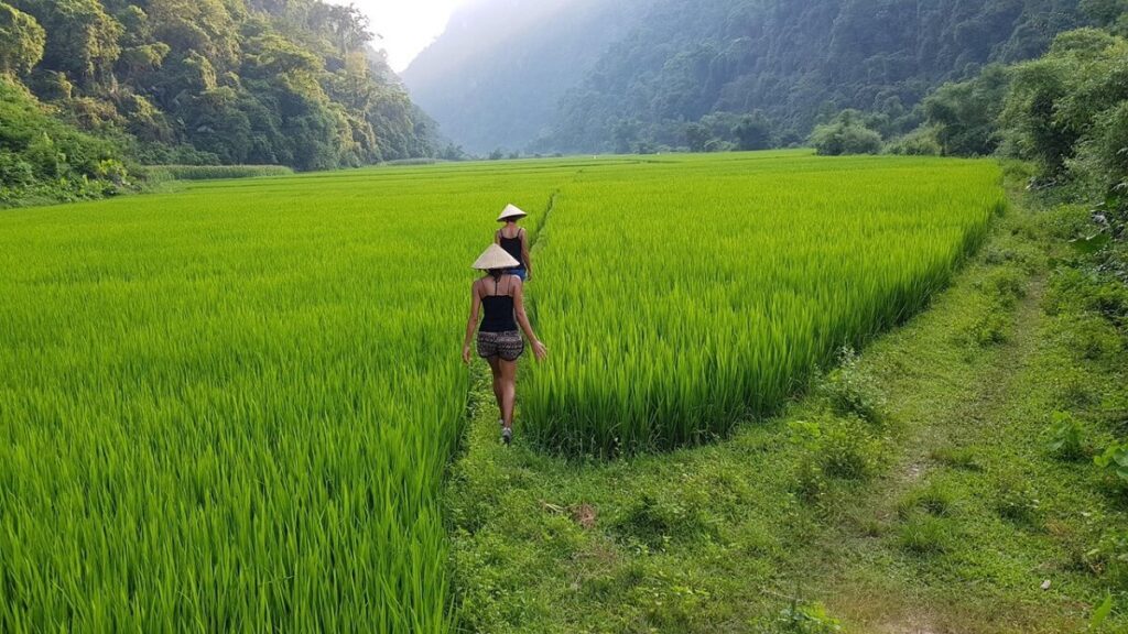 Mai Chau Trekking Vietnam