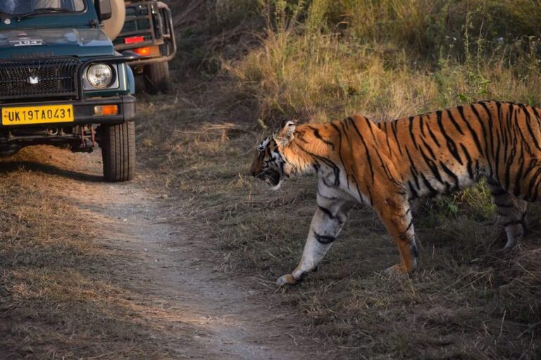 How to Reach Corbett National Park