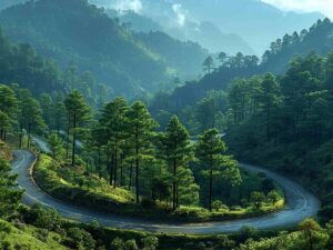 A Complete Guide on How to Reach Dalhousie